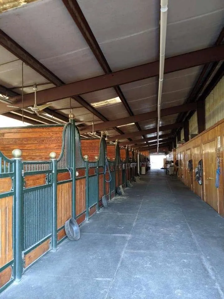 European stall fronts with brass finials line the clean, rubber-matted aisle of the main barn