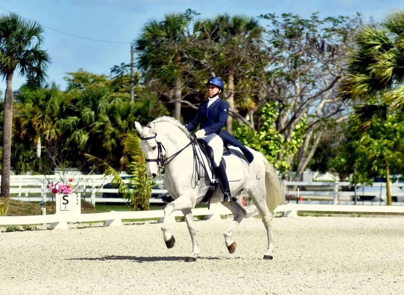 Jenn Czechowski cantering a grey horse under a bright sky, in a navy show coat