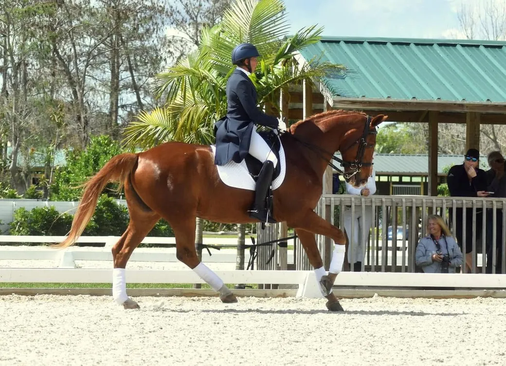Jenn Czechowski riding a chestnut horse in an extended trot, in a navy show coat