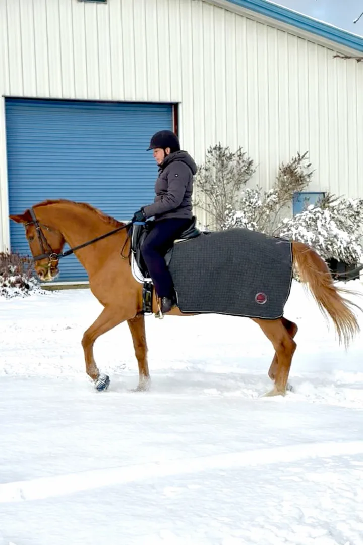 Jenn riding in the insulated indoor arena on a winter day