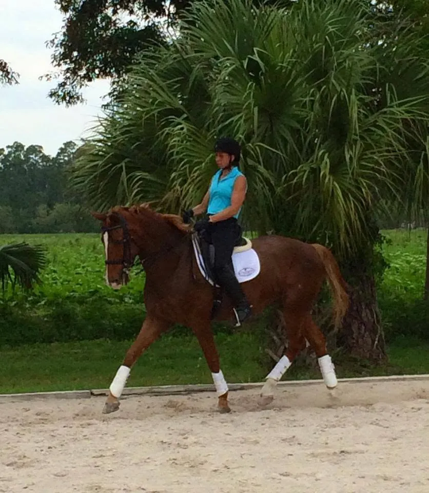 Jenn schooling a horse in a relaxed session, wearing a teal top