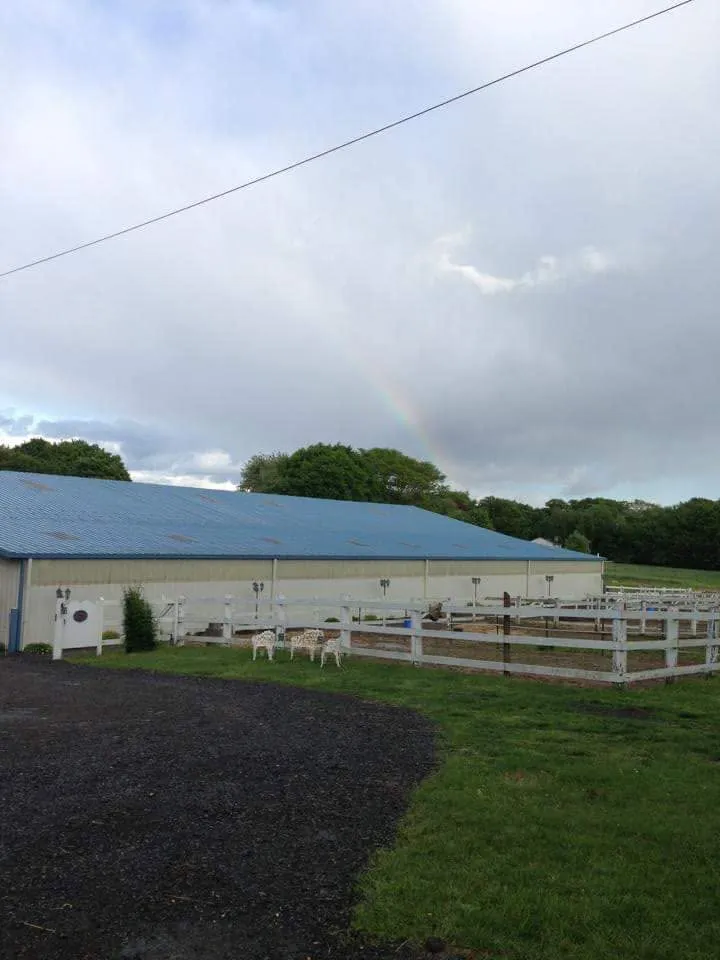 A rainbow arching over the blue-roofed barn and paddocks after the rain